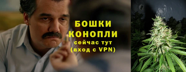 шишки Богородицк