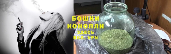шишки Богородицк