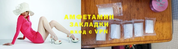 шишки Богородицк
