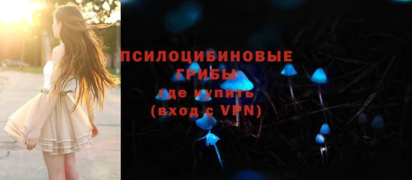 шишки Богородицк