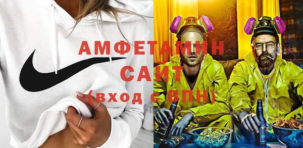 шишки Богородицк