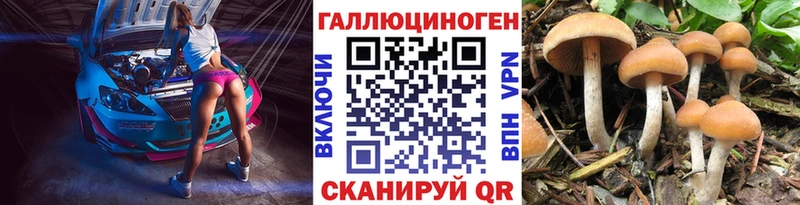 Галлюциногенные грибы Psilocybe  как найти закладки  Кораблино 